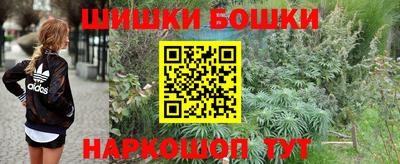 ешки Партизанск