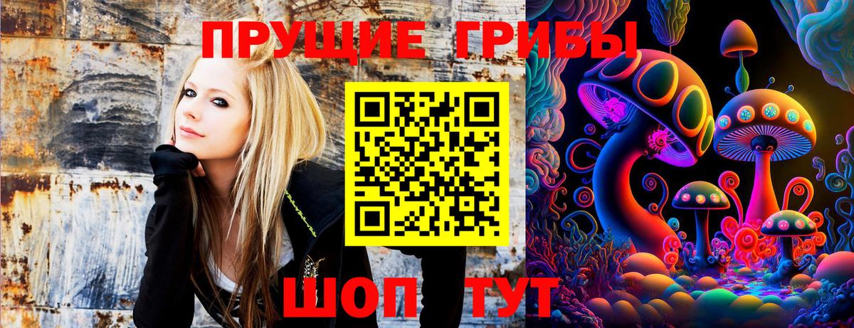 Псилоцибиновые грибы MAGIC MUSHROOMS Ярославль